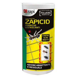 Insetticida Formiche Polvere Zapicid    G 250 Zapi