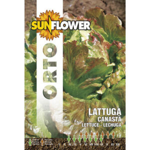Sementi Lattuga Canasta                  Sunflower