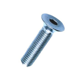 1000 Pezzi Vite Brugola Tp  3x 12 Inox A2-304 Din7991-uni5933