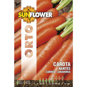 Sementi Carota Nantes                    Sunflower