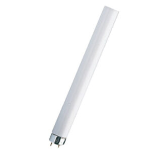 Lampada Fluorescente T8 W36