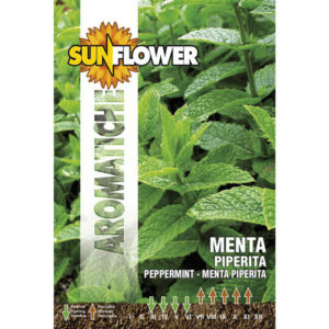 20 Pezzi Sementi Menta Piperita                   Sunflower