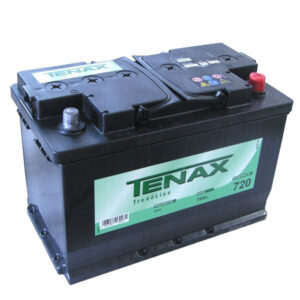 Batteria Auto Ah 100 313x175 H 205      T69n Tenax