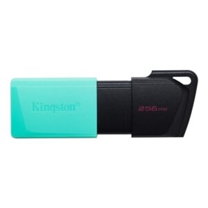 Memorie Flash Flash Drive Usb3.2 256gb Kingston Dtxm/256gb Exodiam Nero+verde