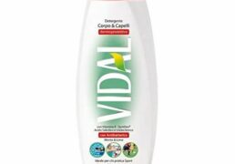 Vidal Bagno 500ml. Antibatterico Corpo