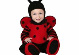 Costume Baby Coccinella 18-24 Mesi